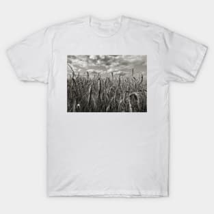 Dramatic Landscape Photography - Wheatfield in France T-Shirt